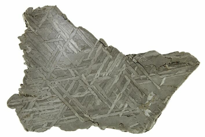 Etched Iron Meteorite ( g) Slice - NWA #263661